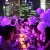 Singapore Paris Diner en Blanc