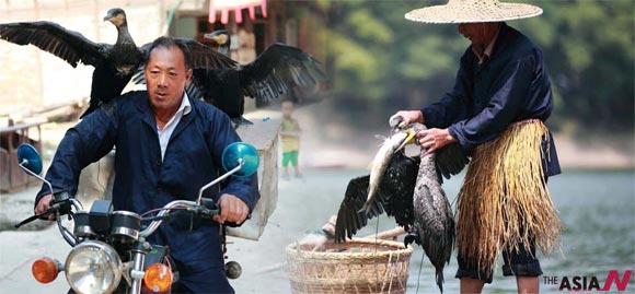 A Fisherman Carries Cormorant For Fishing In China