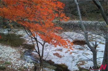 [Korea Report] People enjoy autumn leaves ablaze with a variety of colors