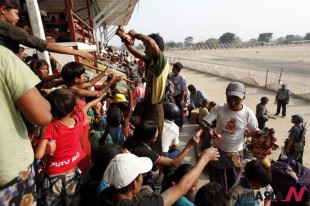 Myanmar Refugees