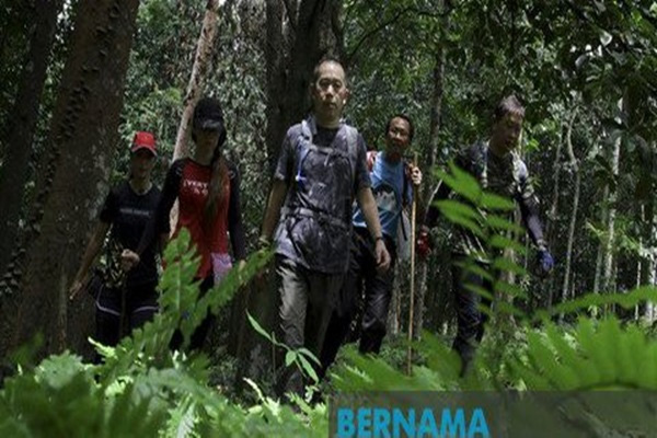 SAR efforts for Nora Anne Quoirin receive boost from hikers - Bernama