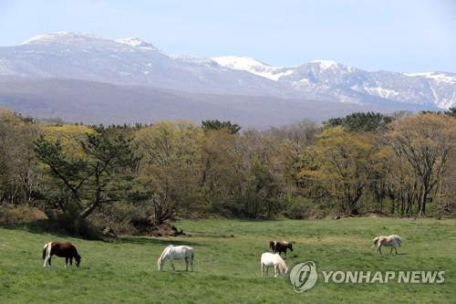 Mount Halla on Jeju Island. (Yonhap)