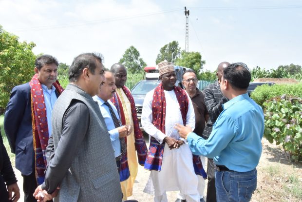 Niger delegation visits Sindh Agriculture University Farms along with Vice Chancellor Dr. Fateh Marri (Left)