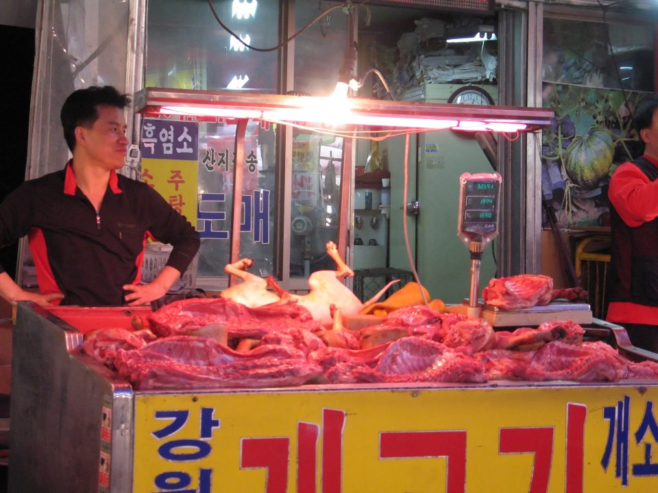 The situation of canine butcher shops in South Korea - THE AsiaN